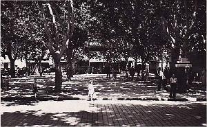 Tlemcen 197- Monneret